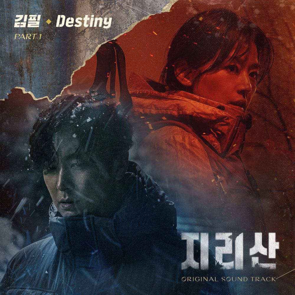 Kim Feel Destiny